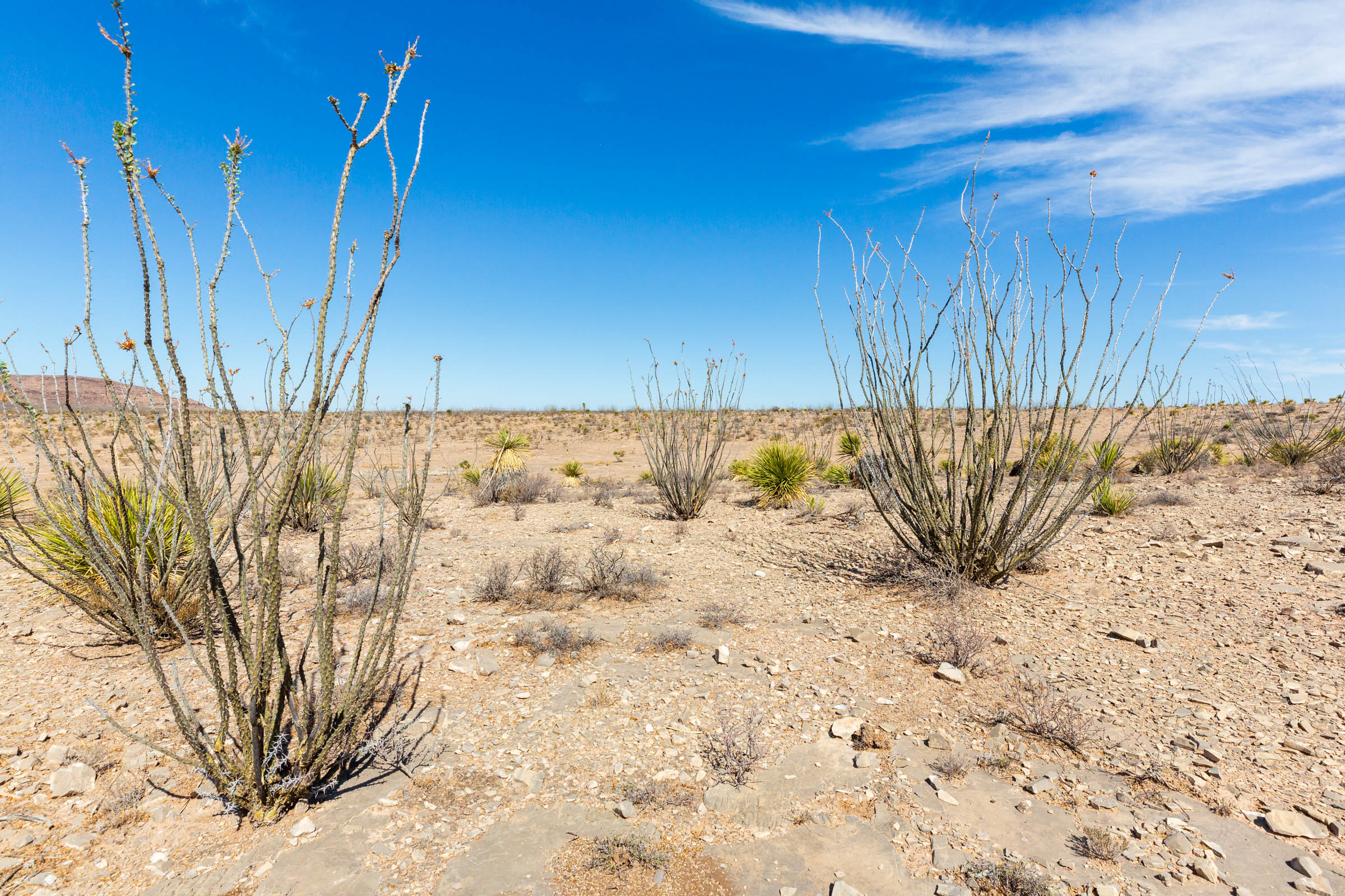 Tract 12 at Sunrise Ranches Phase I in Hudspeth County, Texas