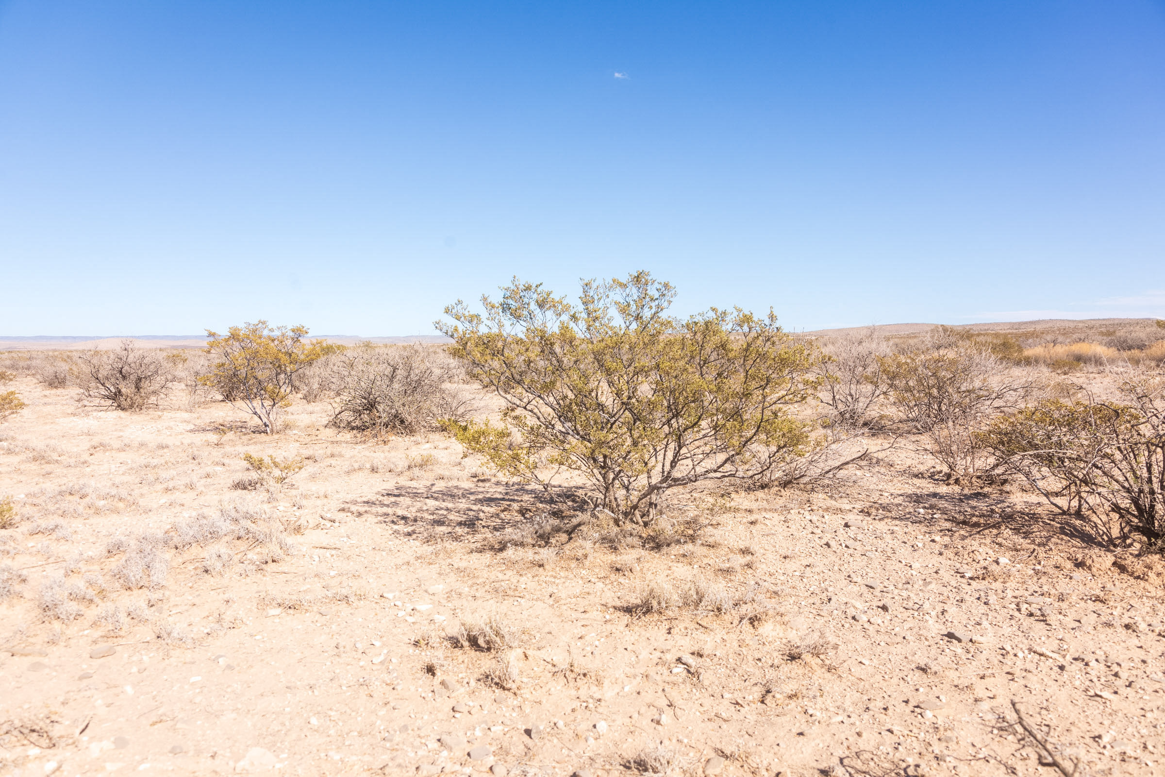 Tract 14 at Sunrise Ranches Phase I in Hudspeth County, Texas