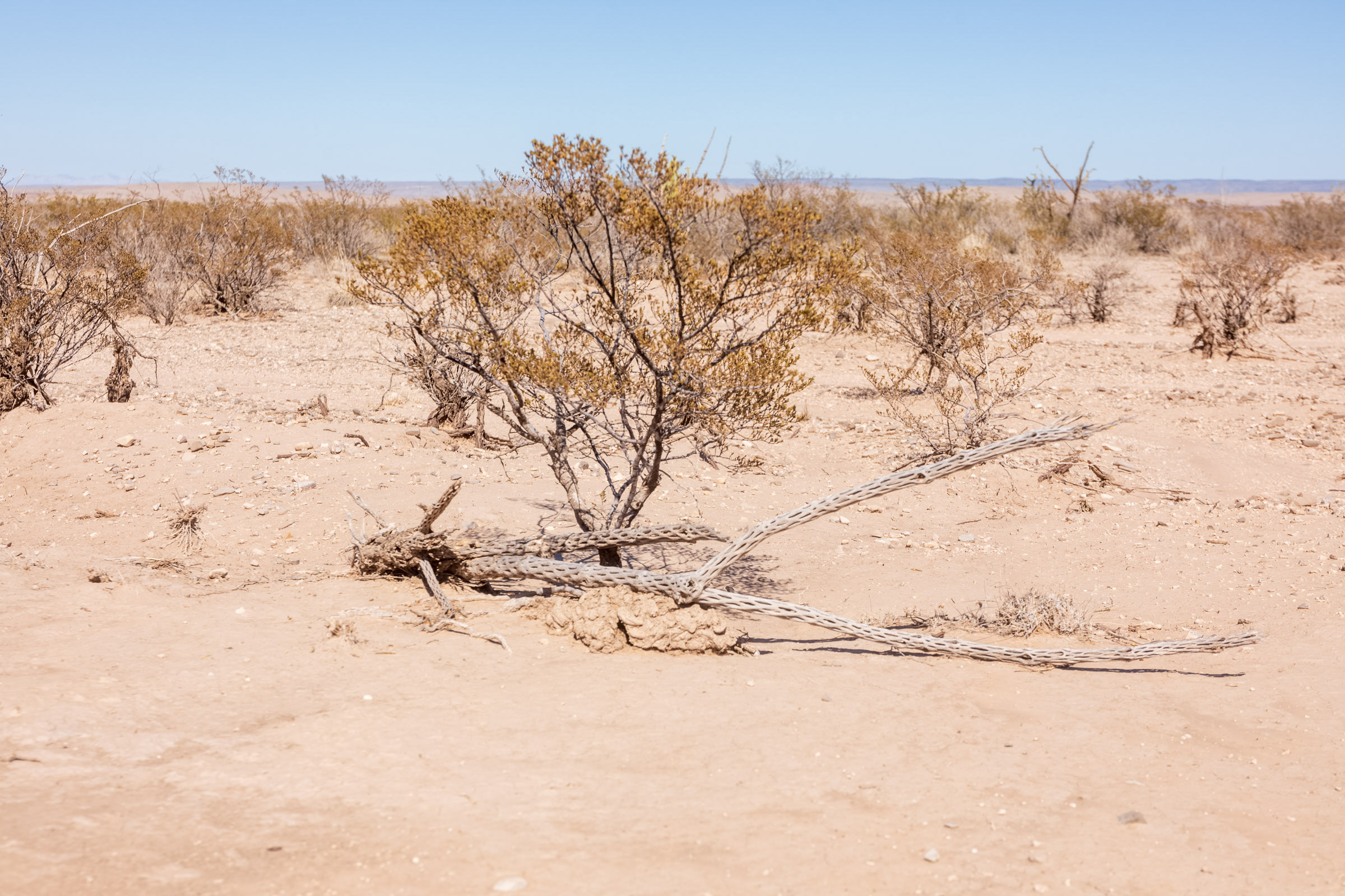 Tract 7 at Sunrise Ranches Phase I in Hudspeth County, Texas